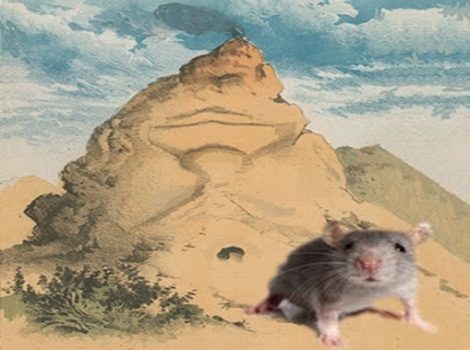 La montagna partorisce un topolino